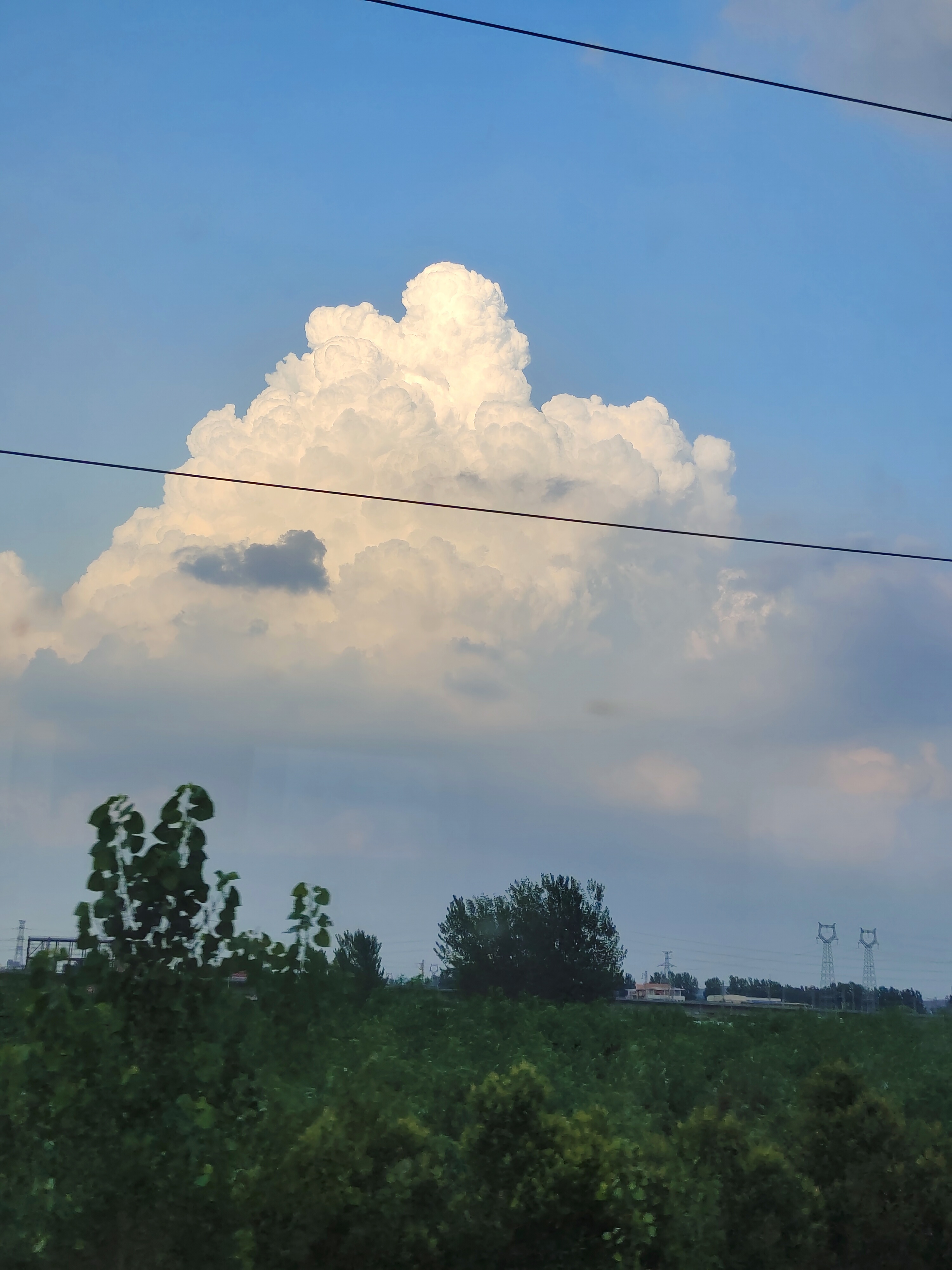 IMG_20220701_183840.jpg